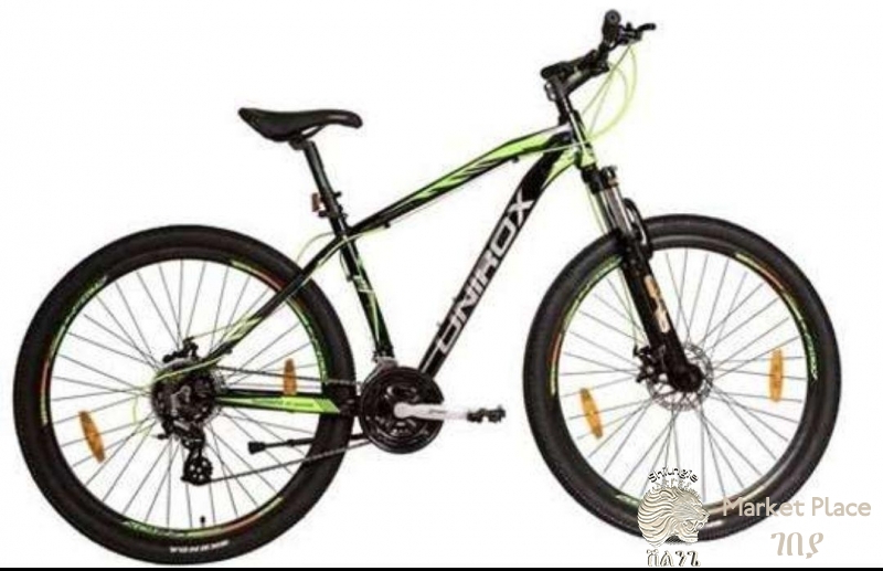 Phoenix mountain bike