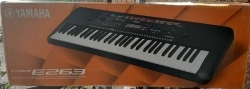 New #YahamhaPSR.E263 keyboard