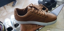 LApolo Shose