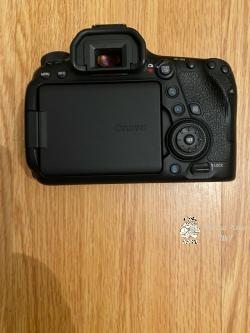 Canon EOS 5D Mark IV, Nikon Z 7II Mirrorless, Canon EOS R5, Nikon D780, Canon EOS R6 Mirrorless Camera, Nikon D850